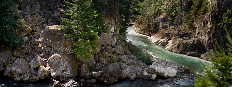 The Cheakamus area has lovely trails for summer hikes.
